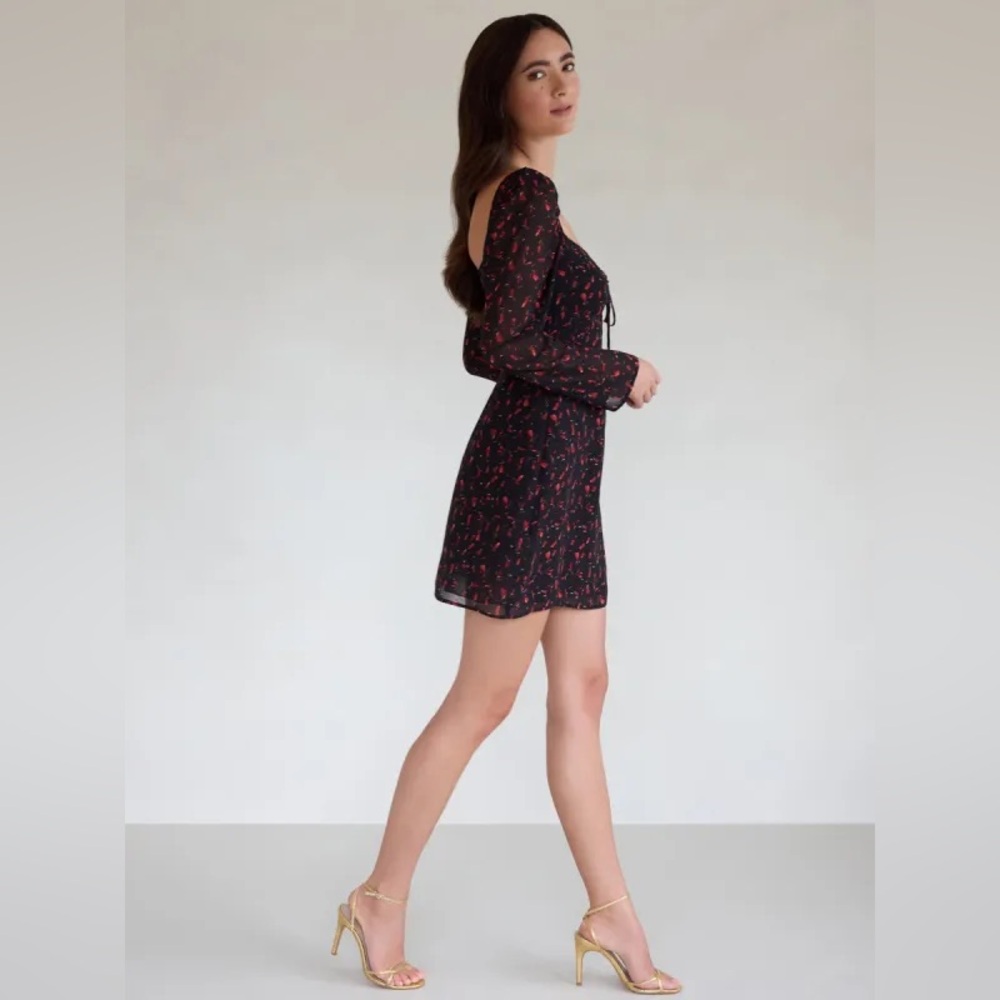 NWT Park & Fifth Annette Mini Floral Dress XL